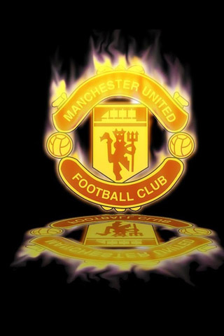 仅仅局限于 仅仅局限于